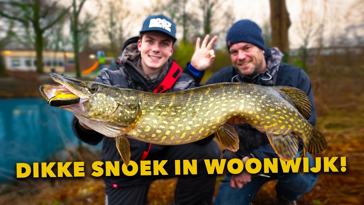 Wij VANGEN een MONSTER SNOEK in een WOONWIJK!