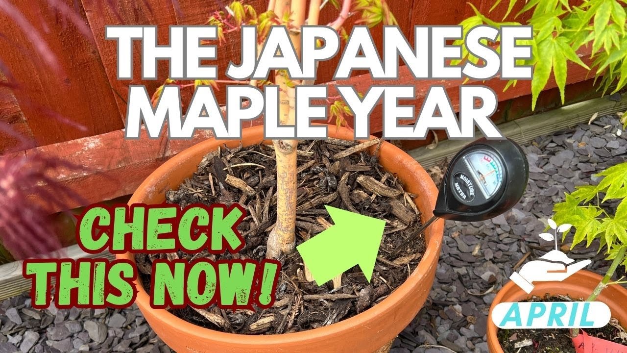 Don't get caught out: Check this Now!
