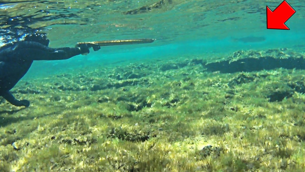 👈ENSEÑO A UN PRINCIPIANTE🔞 HA HACER PESCA SUBMARINA en POCA PROFUNDIDAD, DESDE 0!!