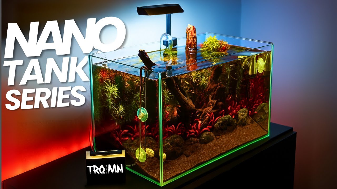 Epic Fire Themed High Tech Aquascape 