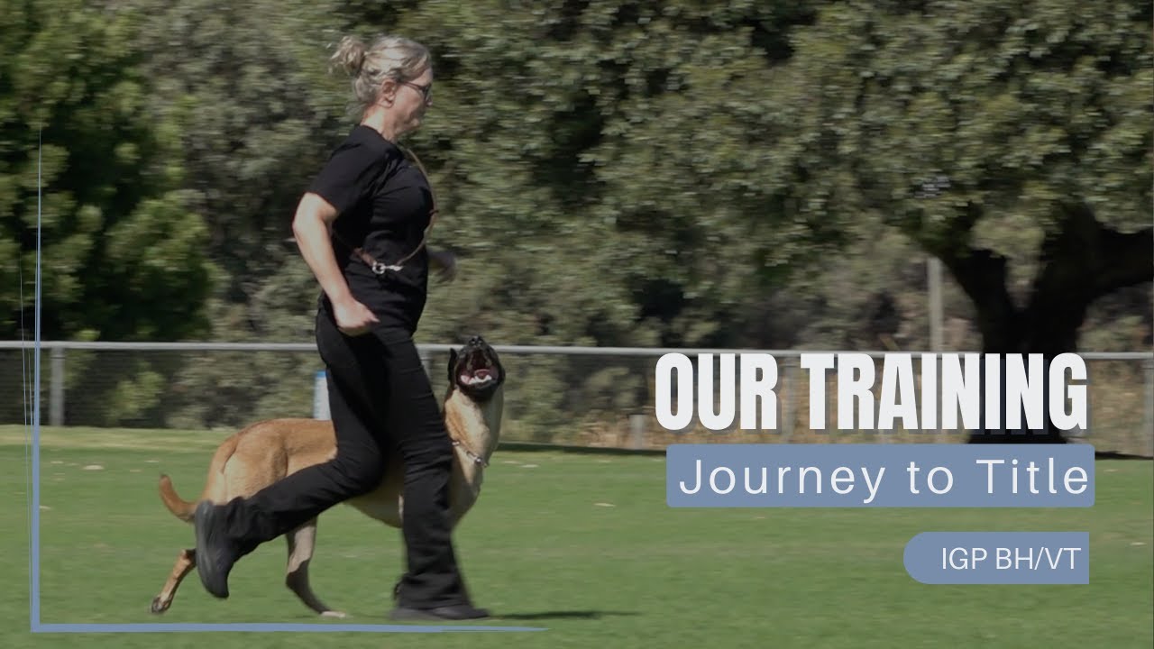 Training Journey to our IGP BH Title