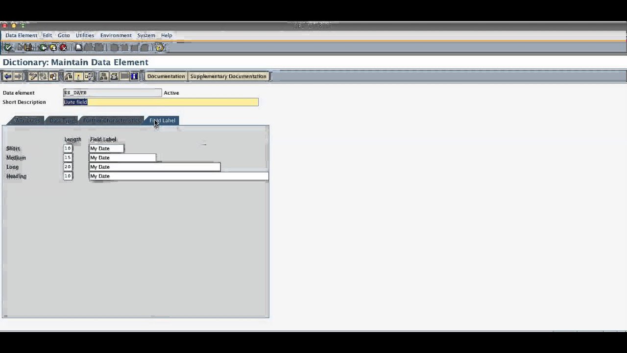 Add Field to SAP HCM info type in 3 steps