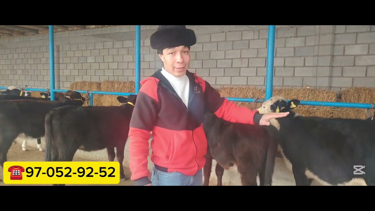 💥Yangi yil aksiya narhlarda hunojilar 💥