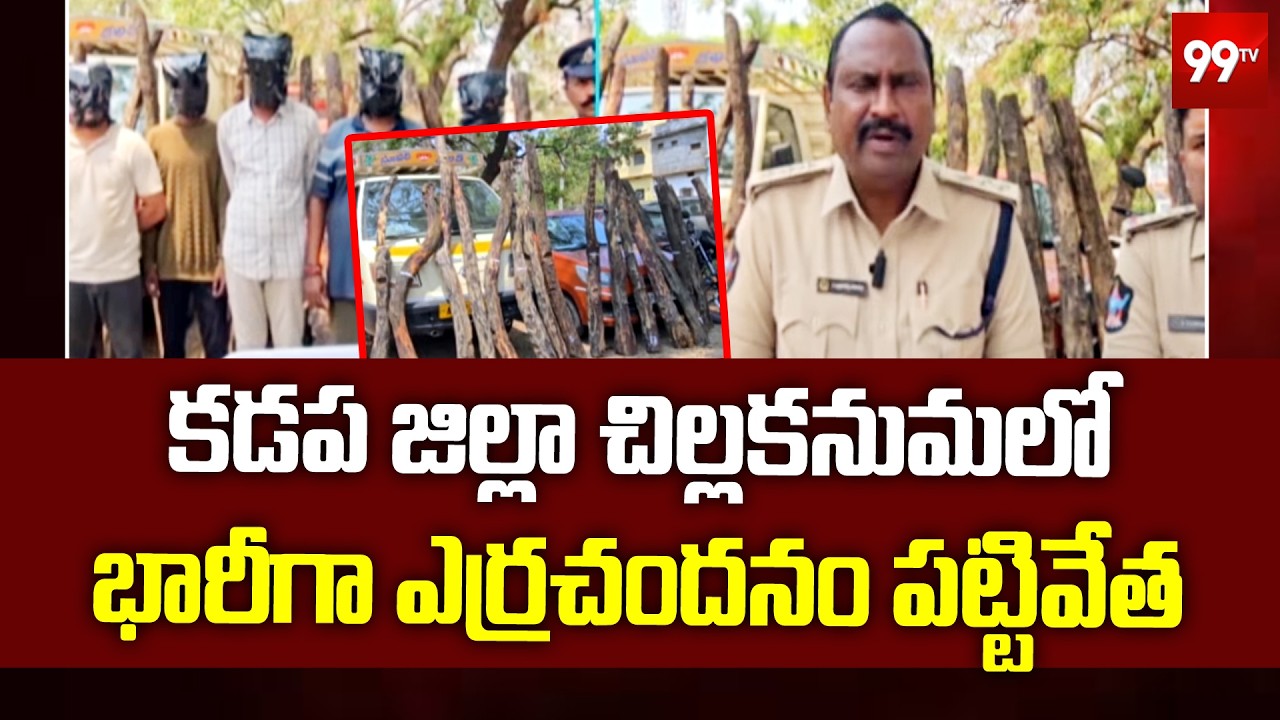 Red Sandalwood Seized in Kadapa District