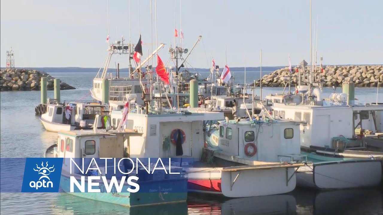 Mi’kmaw fishery calls on government to recognize right to sell their catch | APTN News