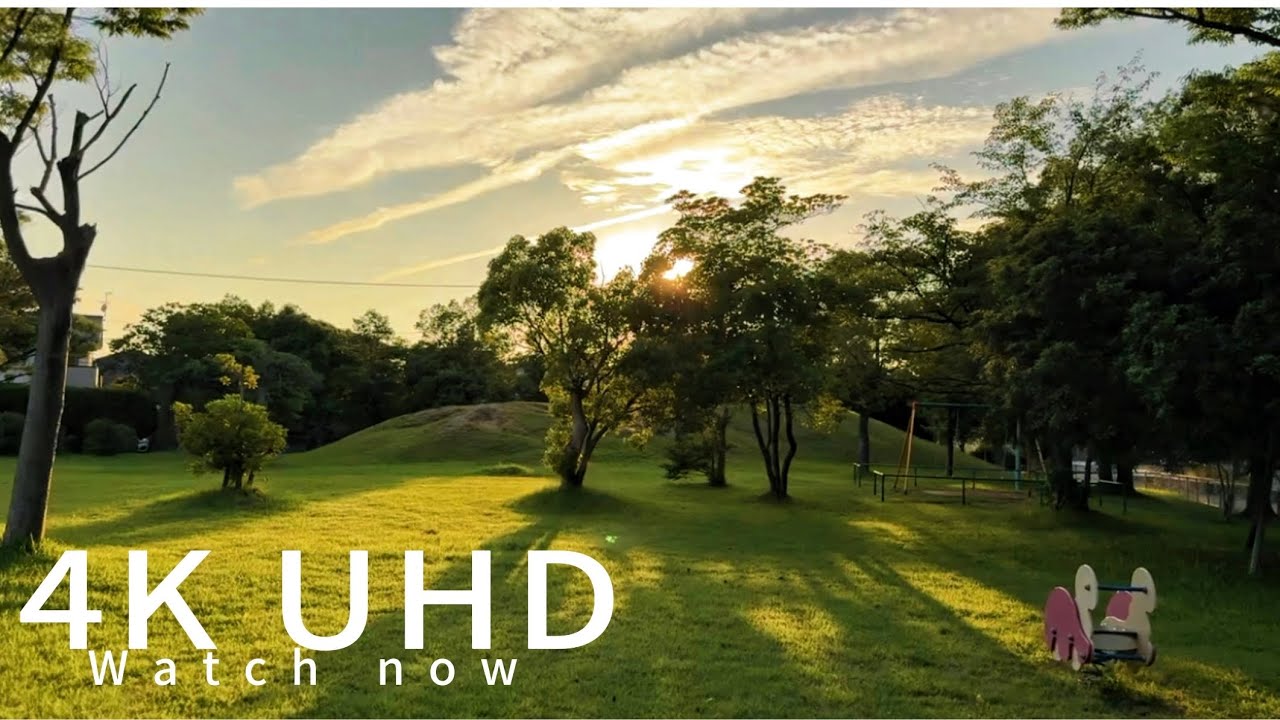 🌸 Japan Nature Walk in 4K HDR | Relaxing Cinematic Scenery 🌄.4K HDR