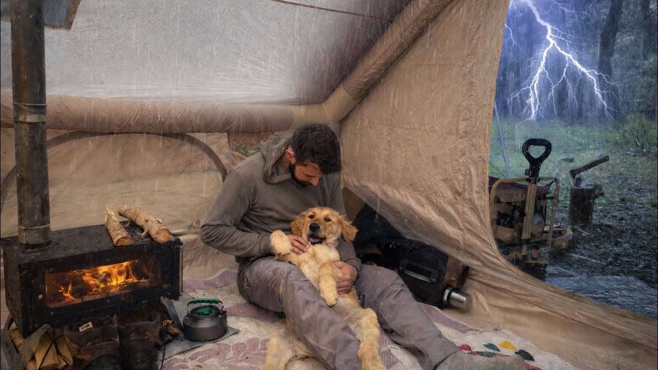 Кемпинг в лесу под проливным дождем ⛺🔥 Уютная палатка с моей собакой Максом #asmr