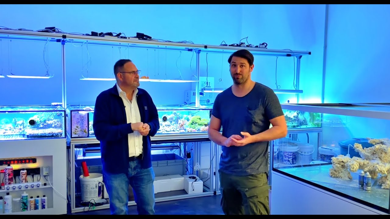 Besuch bei Toms Korallenfarm in Berlin - Meerwasser Quasselei, Fisch & Reptil