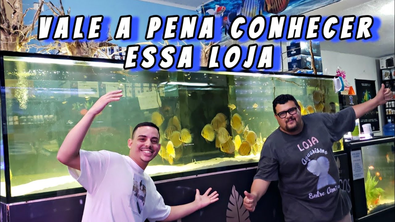 UMA LOJA INCRIVELMENTE COMPLETA - AQUARISMO ENTRE AMIGOS