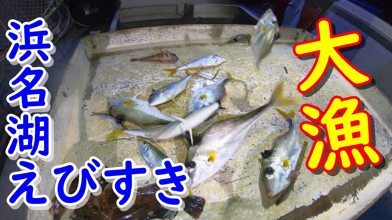 【エビすき】2020浜名湖車エビ大漁祭り