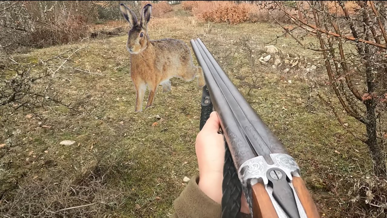 KOPAYLA TAVŞAN AVI🔥İKİ FARKLI AV GÜNÜ