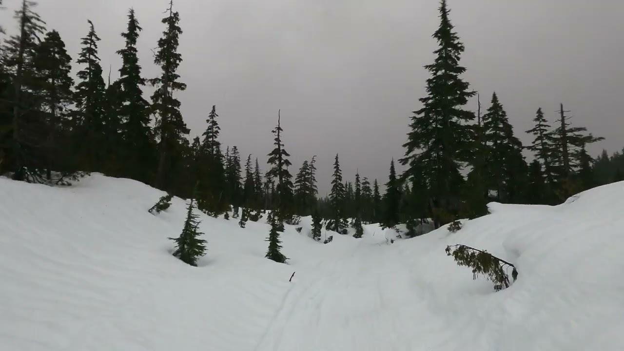 Sledding In Heavy Rain And Snow