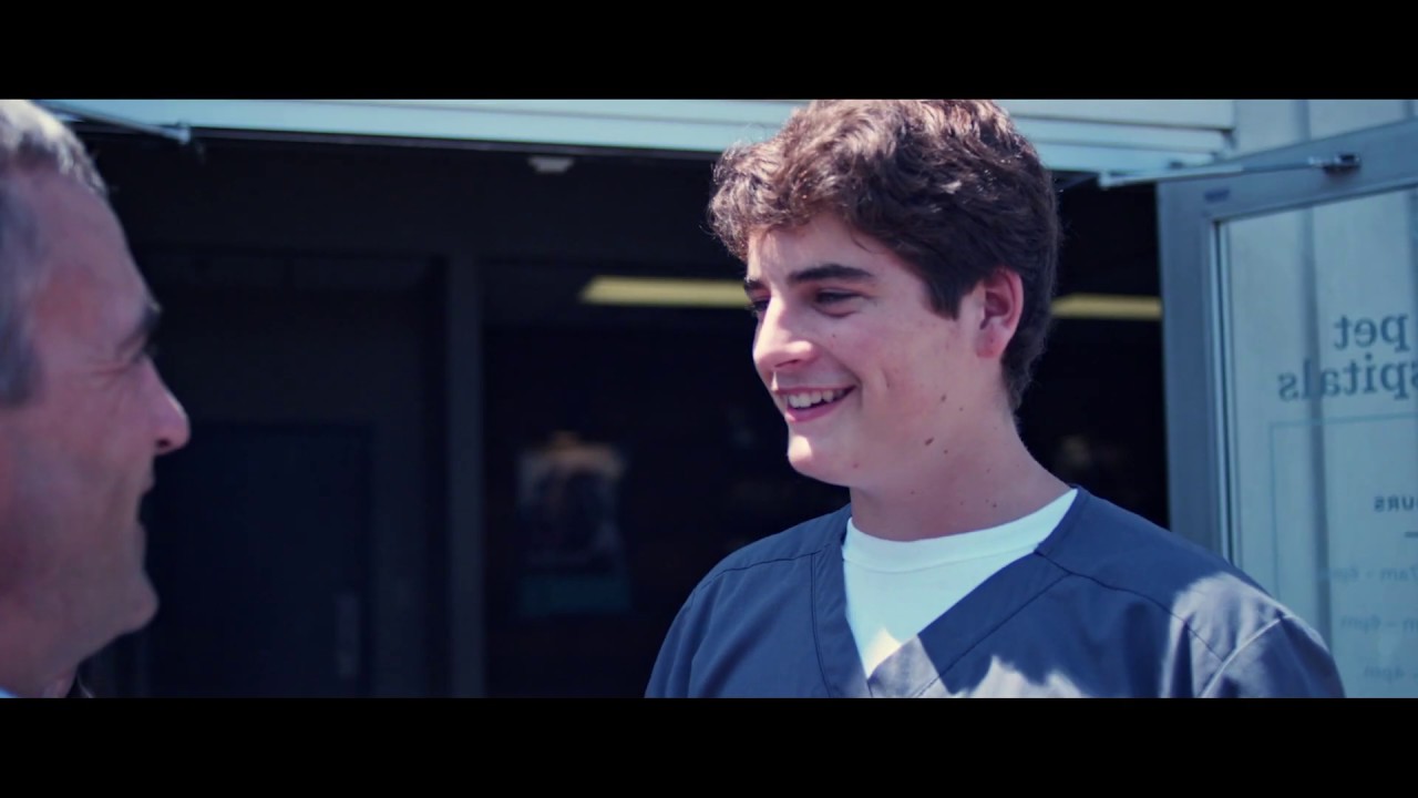 Pet Boarding, Grooming, and Doggie Daycare at The Pet Hospitals