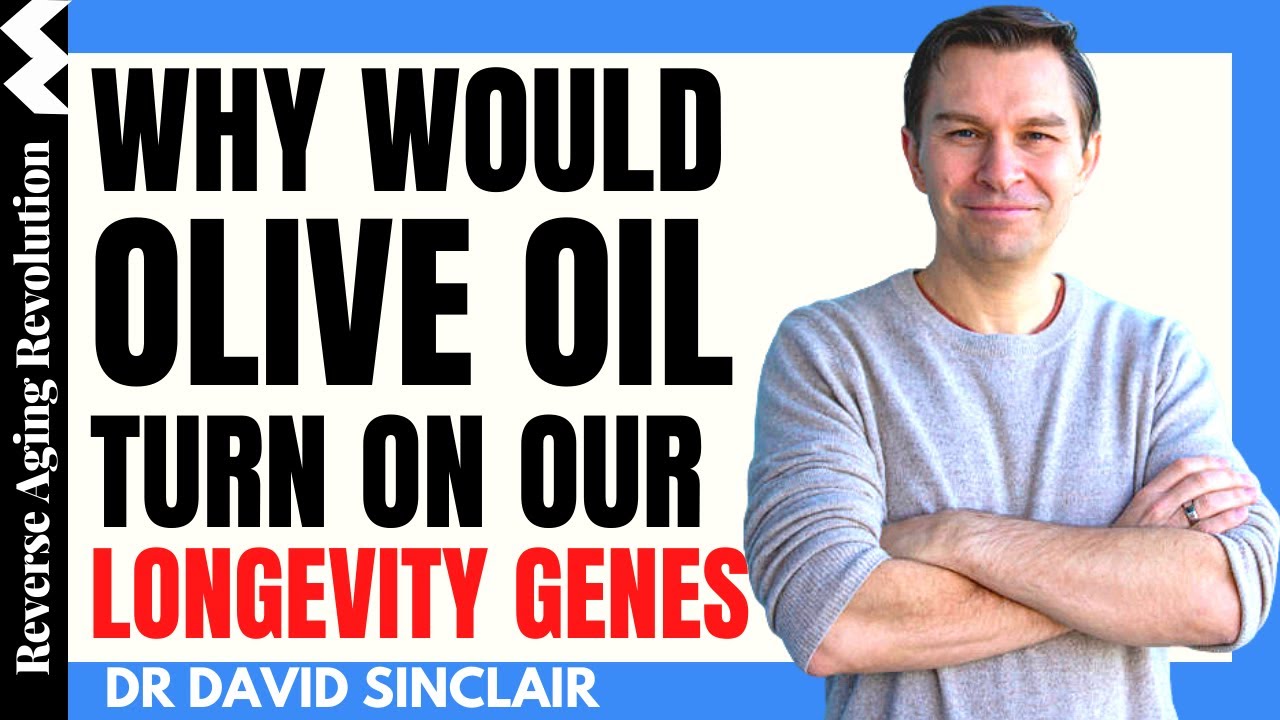 WHY Would OLIVE OIL Turn On Our LONGEVITY GENES? | Dr David Sinclair Interview Clips