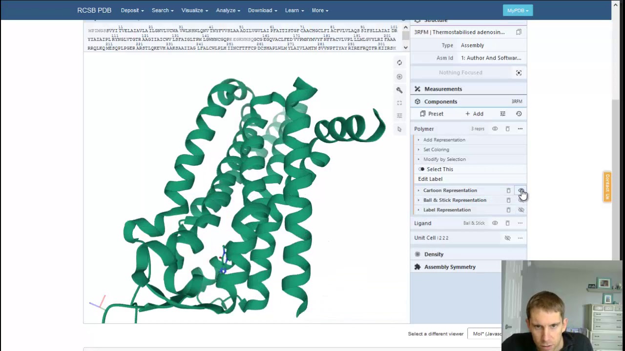3D structure analysis of proteins