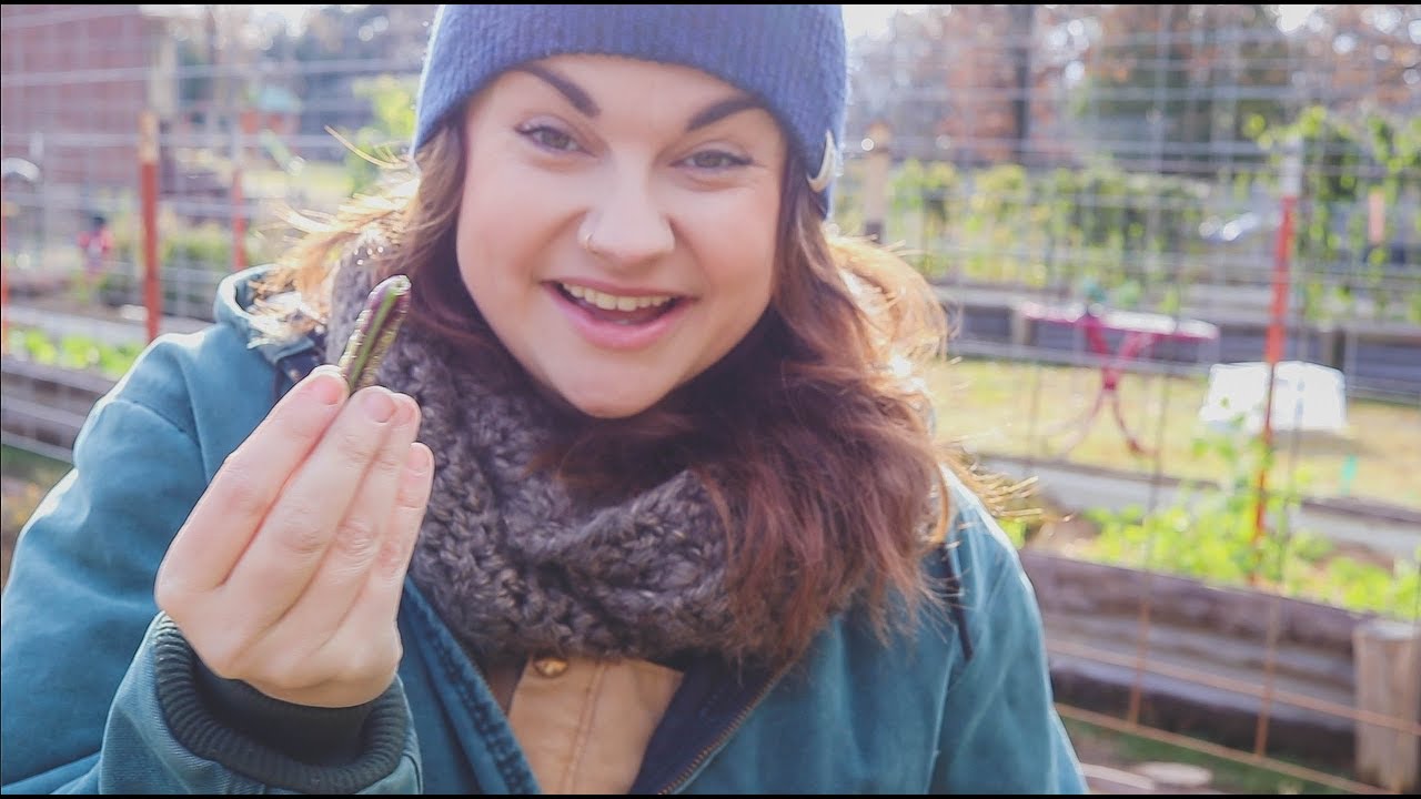 November Garden Tour | What Plants Survive Freezing | Roots and Refuge