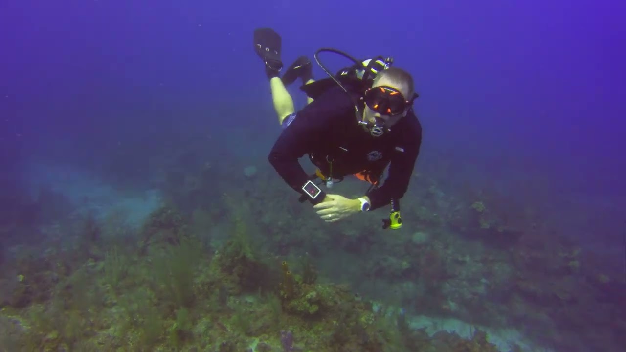 Turneffe Atoll - Belize - 2021