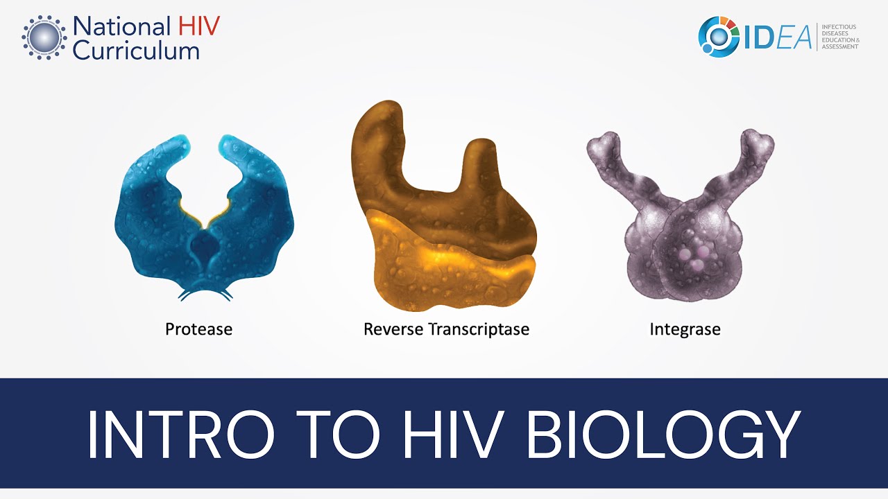 Mini-Lectures: Introduction to the Biology of HIV-1