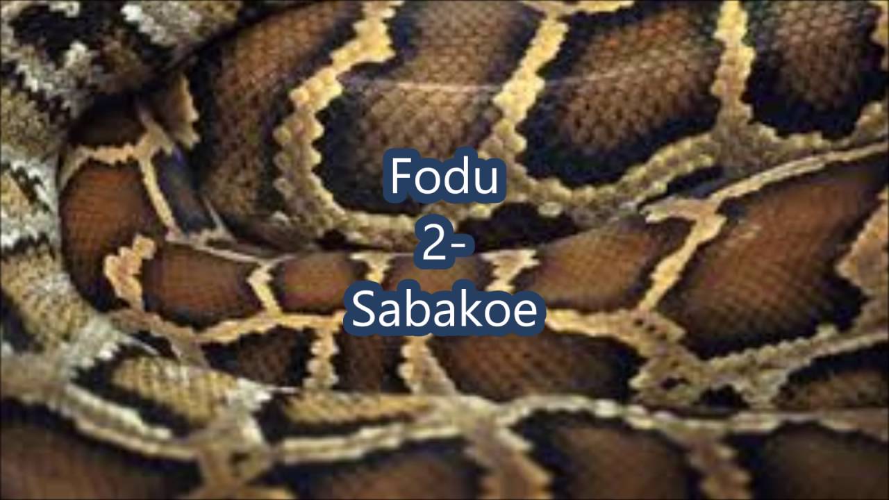 fodu 2 sabakoe