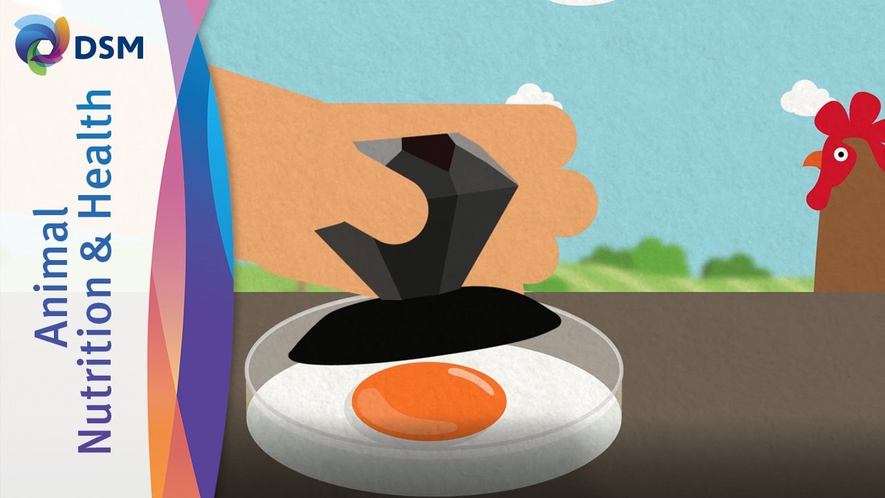 The Digital YolkFan™ Color Sensor