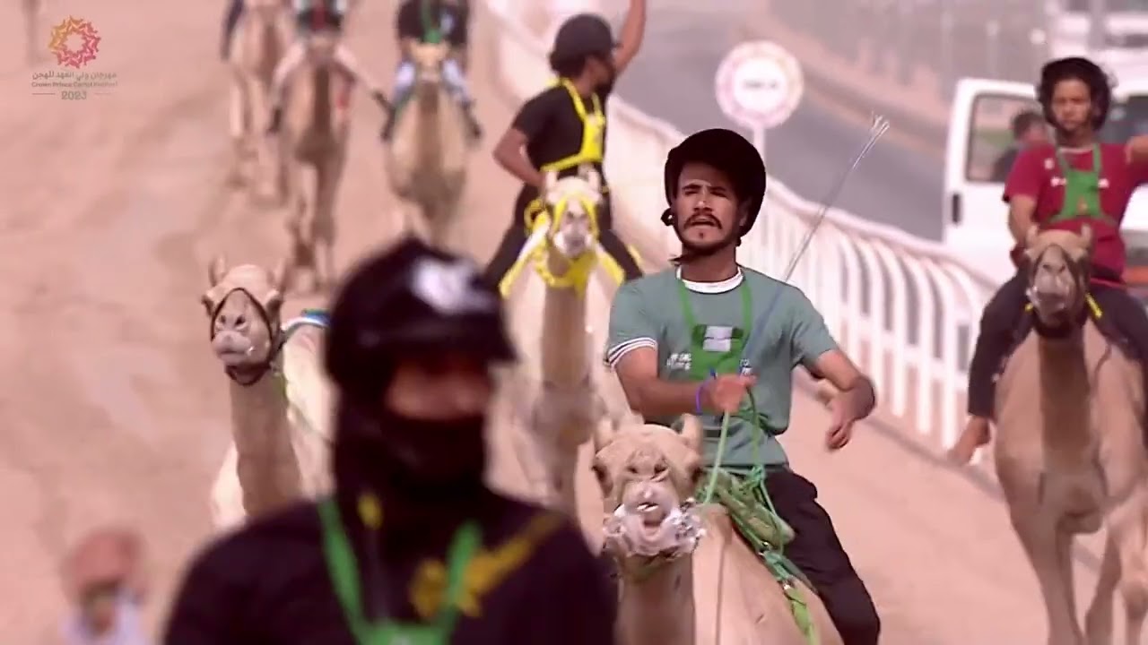 الشوط 1 ماراثون زمول وثنايا قعدان مساء يوم الاثنين 28-8-2023 من #مهرجان_ولي_العهد_للهجن