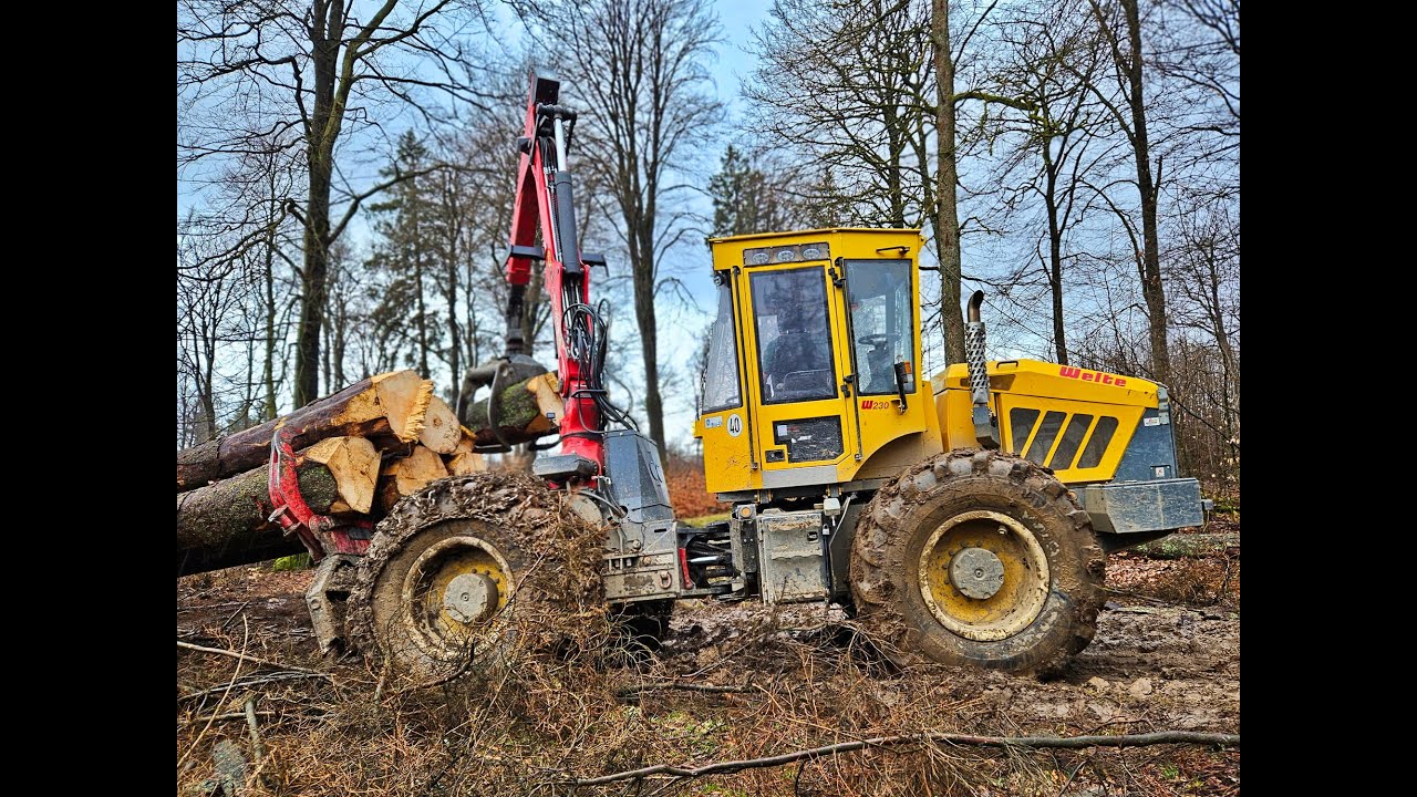 🌲*BIG* Welte W230 4WD • Skidder in Action • Logging Pure • PCM-Forst • Langholz • Machine on limit 🌲