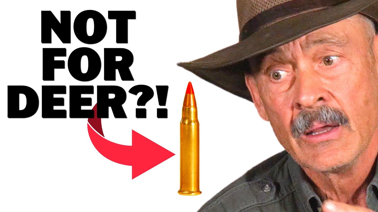 Патроны Varmint для охоты на оленей — насколько мал размер?
