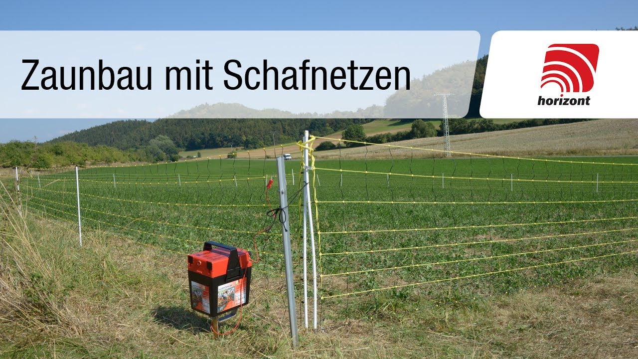 Schafzaun - Aufbau eines Schafnetzes
