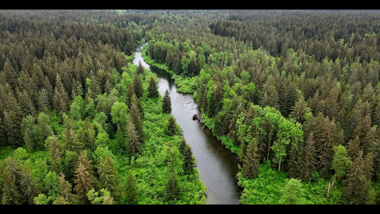 Yakutat Alaska Cinematic Film 🎬 | 25 Minute Wilderness Escape (4K 24FPS)