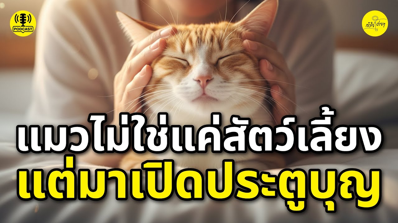 แมวไม่ใช่แค่สัตว์เลี้ยง แต่มาเปิดประตูบุญ | เข้าใจง่ายๆ