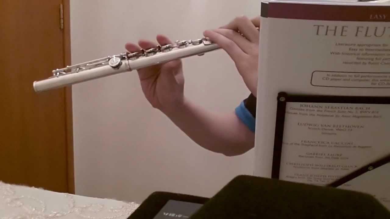 Moderato from Sonatina in G Beethoven Flute