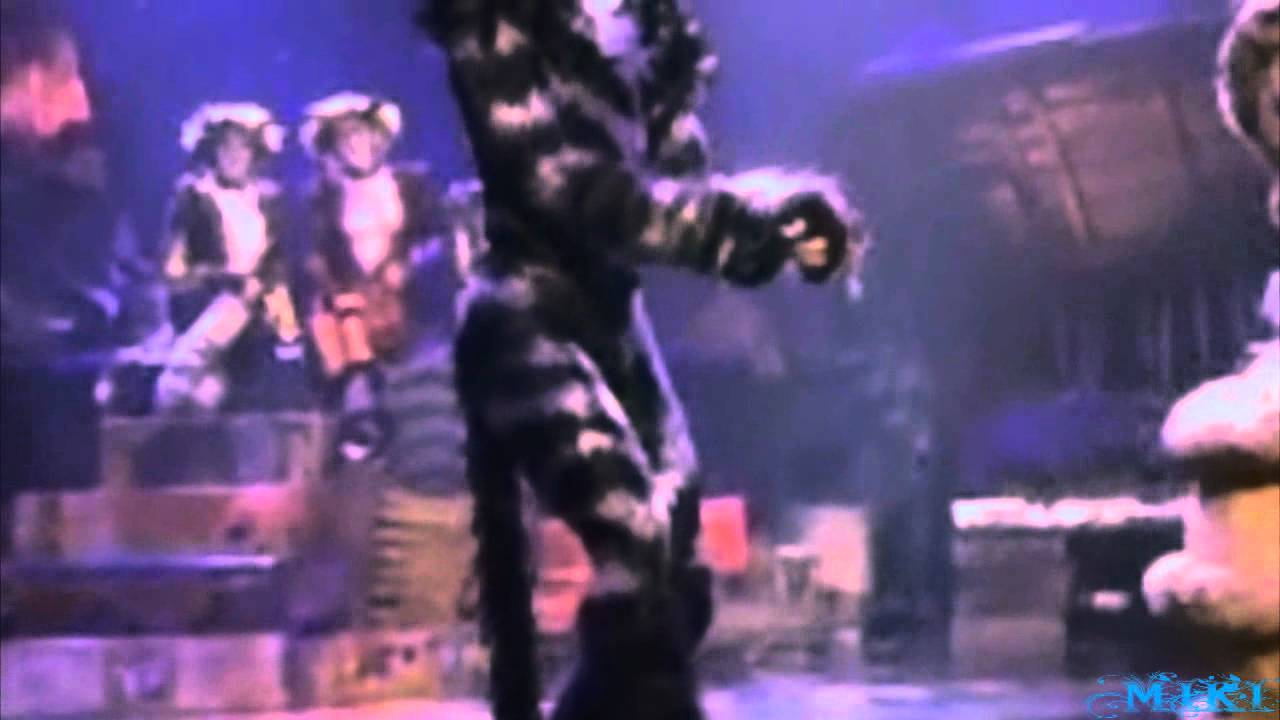 Cats - Munkustrap - Magnetic