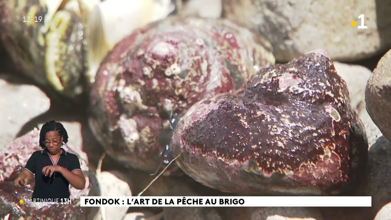 Le pêcheur de Brigo du Marigot