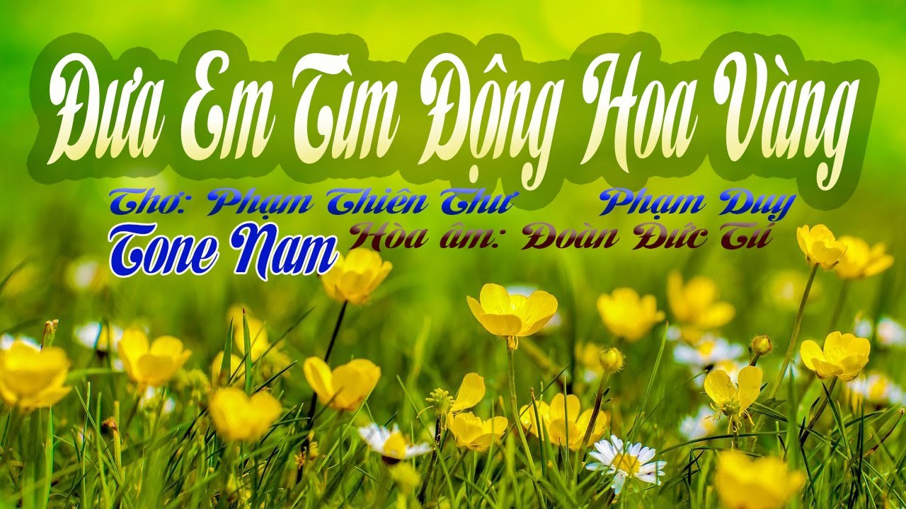 karaoke Đưa Em Tìm Động Hoa Vàng_Giọng Nam _Phạm Duy