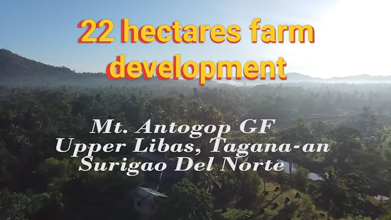 EP535 part 3:  22 hectars farm lot development/Mt. Antogop GF