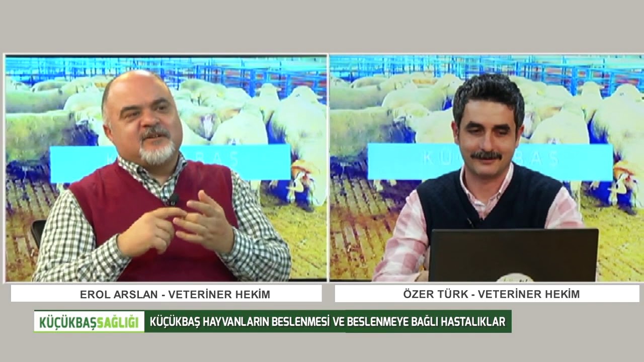 Erol ARSLAN'la Küçükbaş Sağlığı | Küçükbaş Hayvanlarda Besleme ve Beslemeye Bağlı Hastalıklar