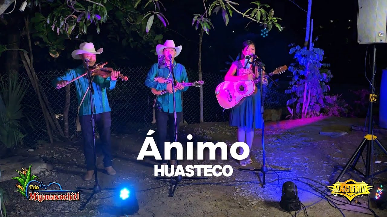 ANIMO HUASTECO - TRIO MIYAUAXOCHITL
