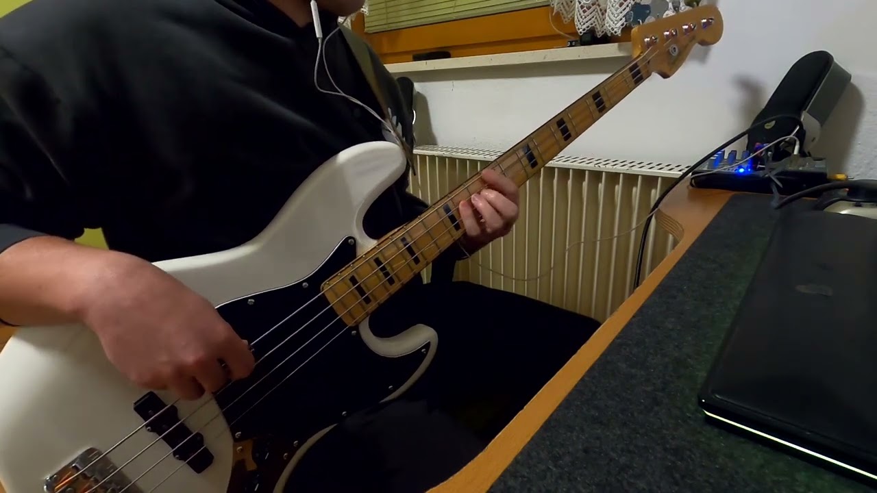 Winner takes it all - Bass Cover (ABBA)