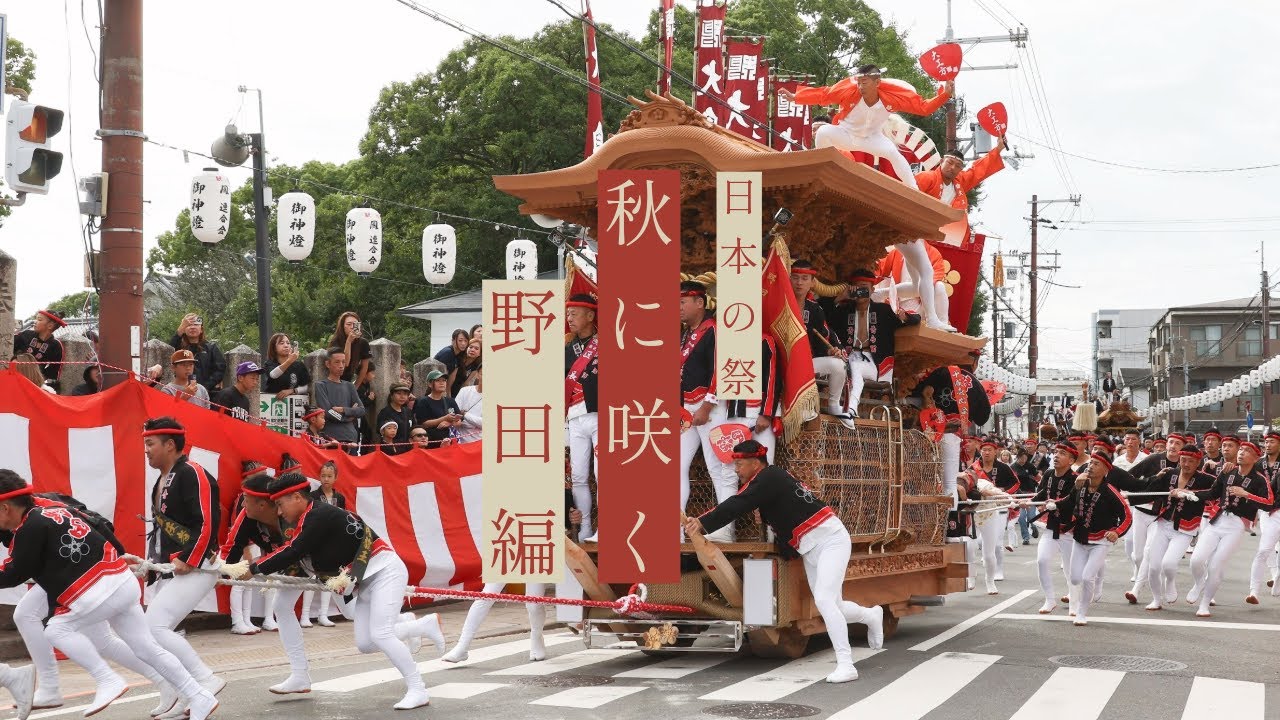 【日本の祭秋に咲く】2024野田「地車祭禮」完全密着！｜堺市鳳地区野田×奏｜