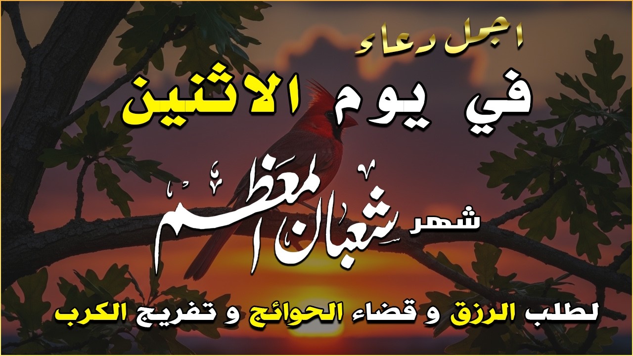 دعاء فى يوم الجمعة المستجاب دعاء في يوم 11 من شهر شعبان للرزق والشفاء العاجل وقضاء الحوائج 🤲(4k)