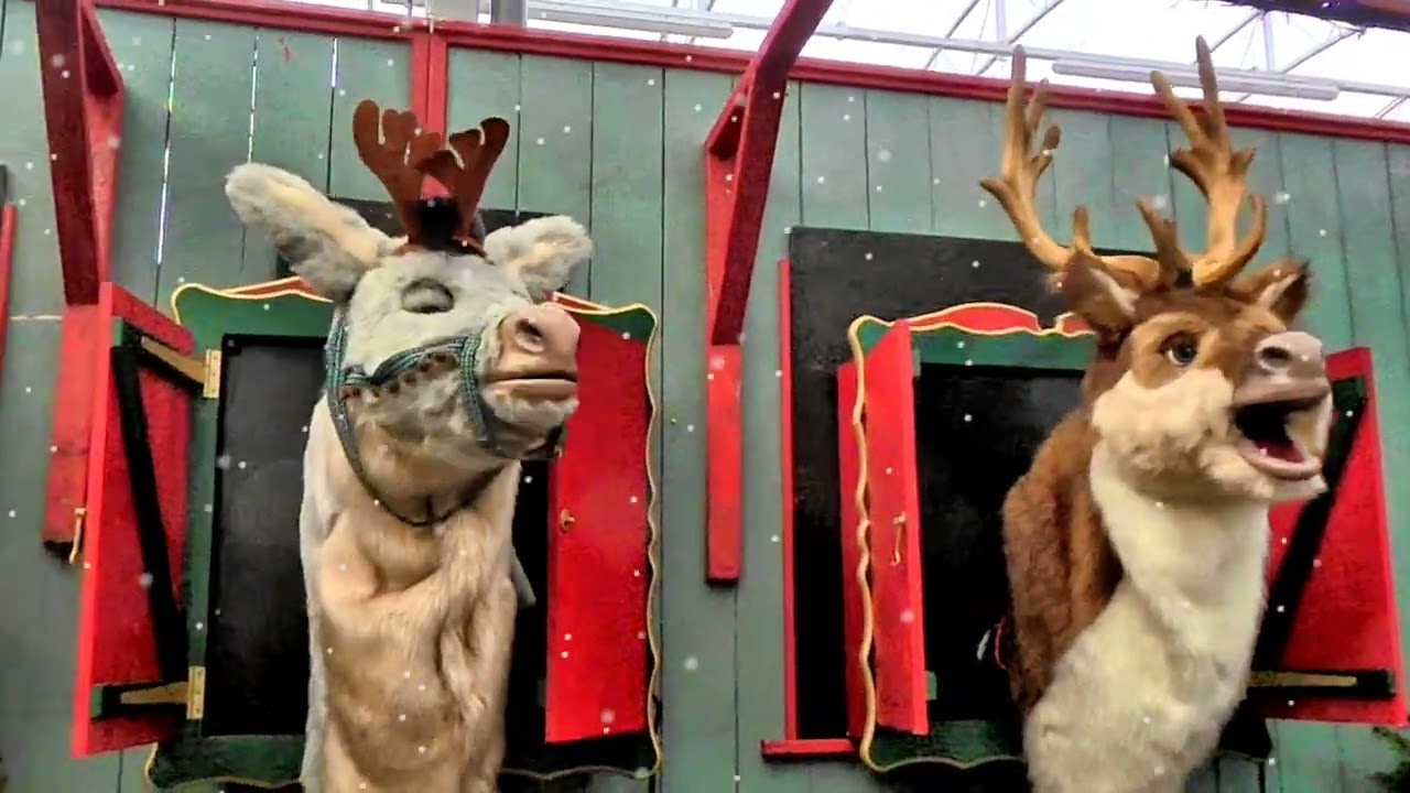 It’s beginning to look a lot like Christmas. at Houghton Hall, Northern England, Cumbria.