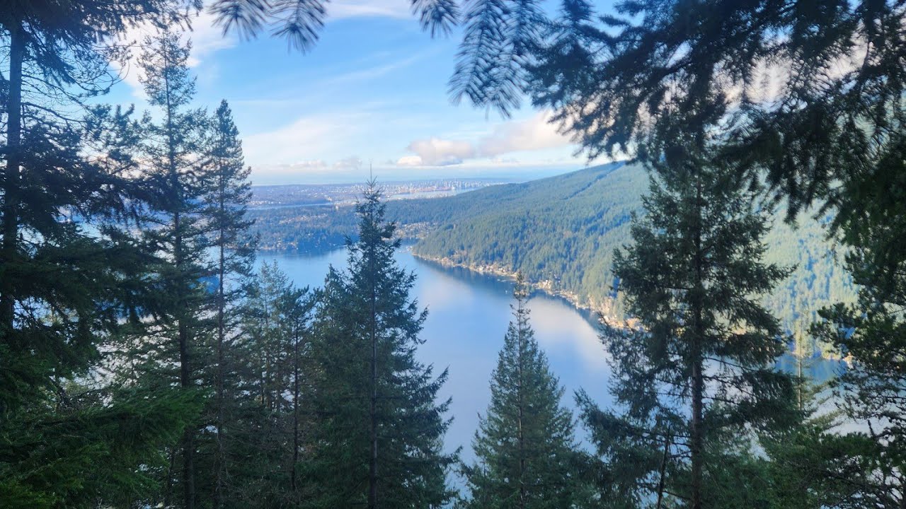 Diez Vistas Trail 02.15.26