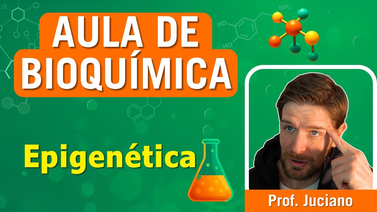 EPIGEN&Eacute;TICA - Mecanismos epigen&eacute;ticos | Aula para ensino superior