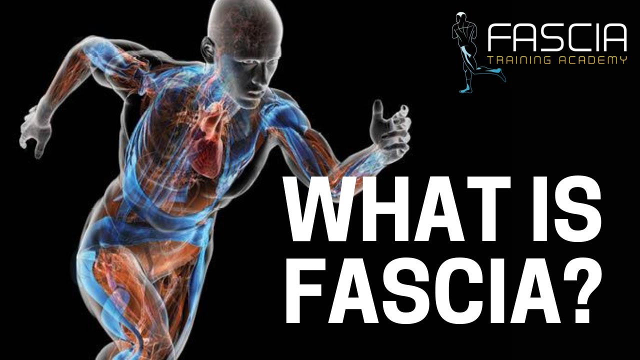 What is Fascia?