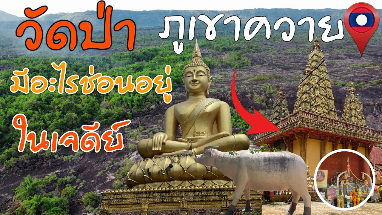 วัดป่าภูเขาควายมีอะไรซ่อนอยู่ในเจดีย์ | ວັດປ່າພູເຂົາຄວາຍມີຫຍັງຊ້ອນຢູ່ໃນເຈດີ