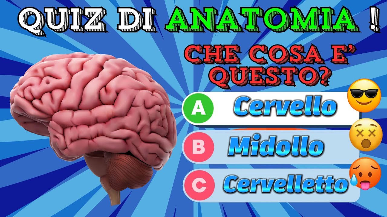 QUIZ DI ANATOMIA ! 🤯🧠Quanto conosci il tuo corpo? 💀🫀🫁Il quiz che sfida anche i più esperti!💡