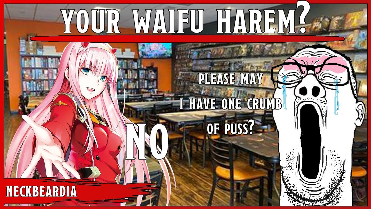 So Do You Guys Have Waifu D&D Harems? || pLeAsE mAy I hAvE OnE cRumB oF pUsS?