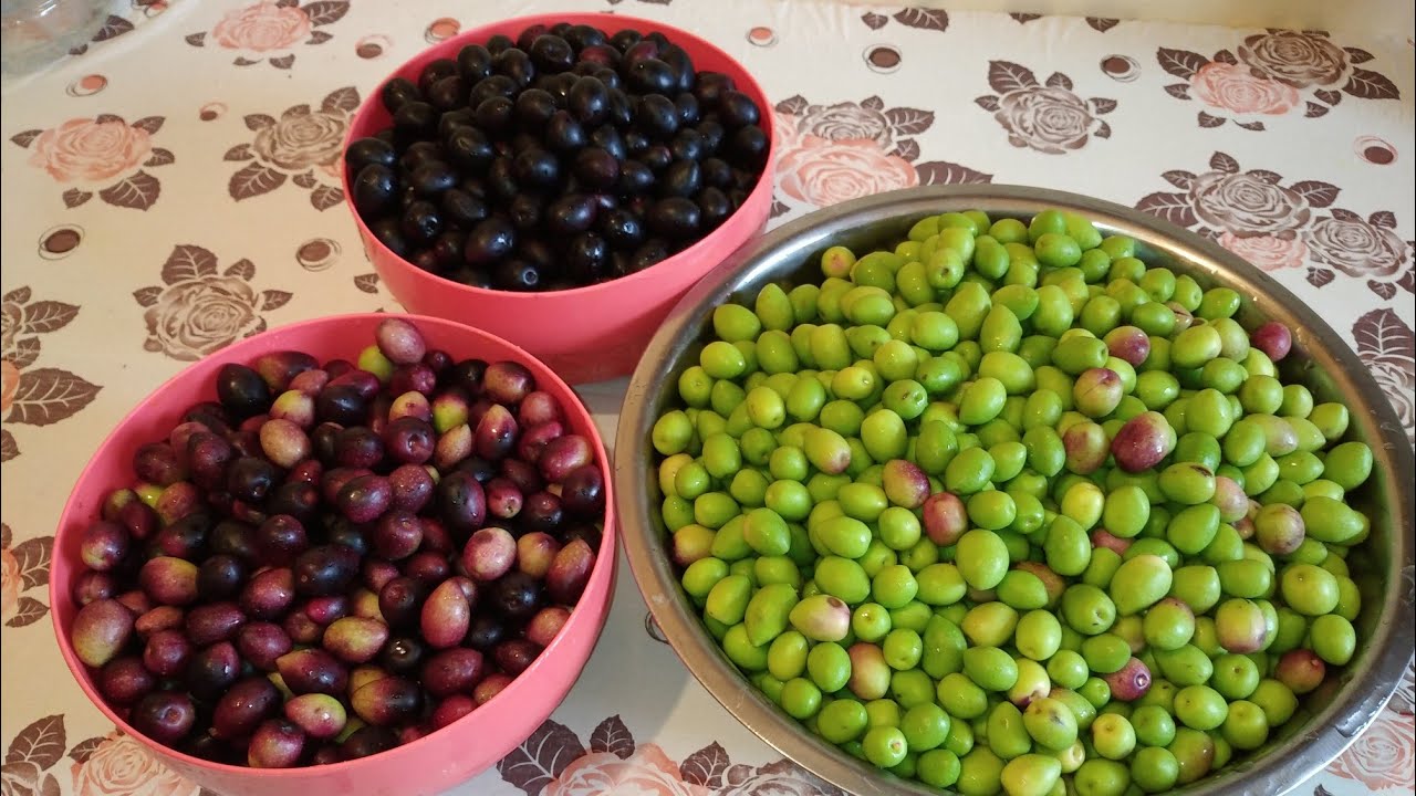 ترقيد أو تصبير الزيتون بكل أنواعه و مختلف طرقه، يبقى صالح مدة طويلة دون أن يفسد