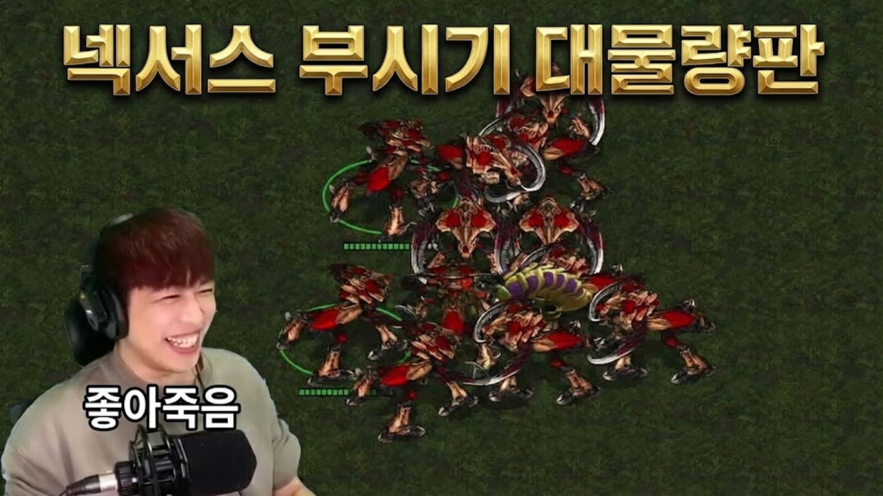 넥서스가 아니라 너희들을 부수는거야│넥뿌대물량
