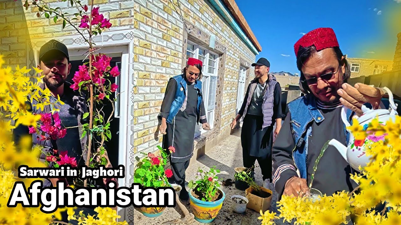 Mr. Sarvari's farming in Jaghori Afghanistan 🤩